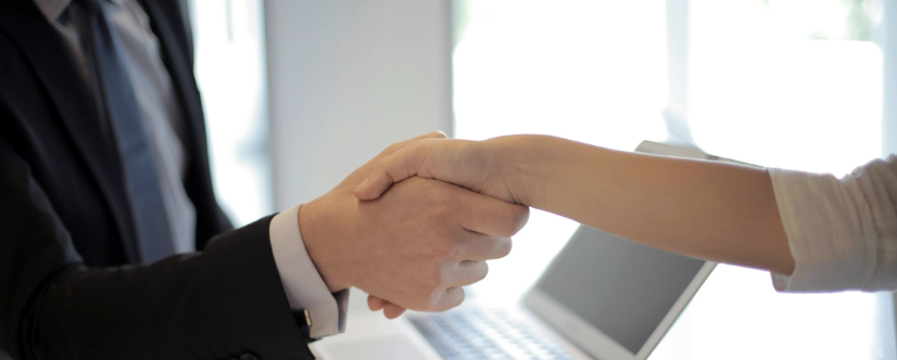 Vendita e consulenza pubblicitaria, 1. figura